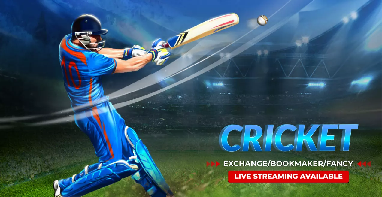 betbook247 casino cricket banner