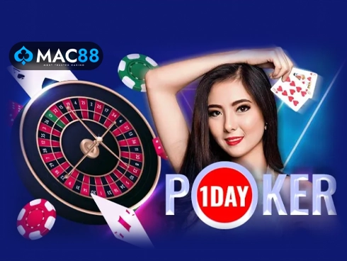 betbook247 live poker